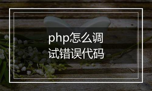 php怎么调试错误代码