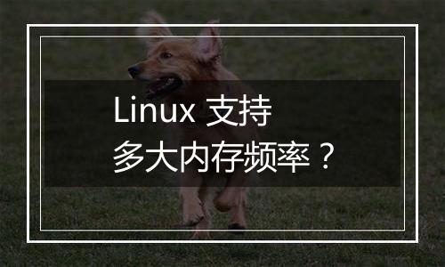 Linux 支持多大内存频率?