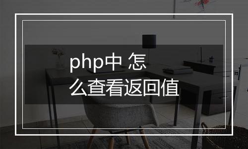 php中 怎么查看返回值