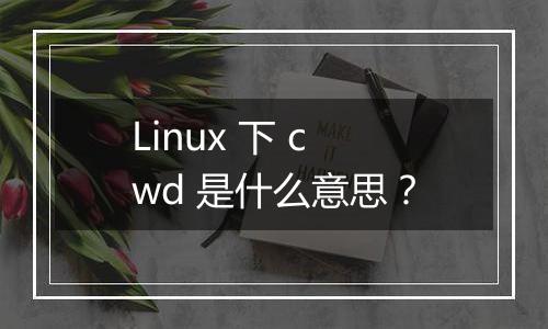Linux 下 cwd 是什么意思?