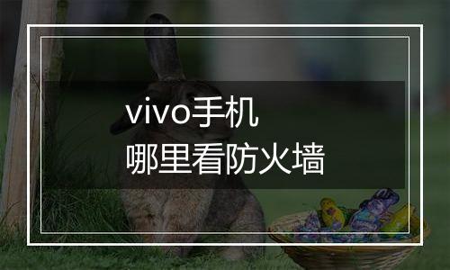 vivo手机哪里看防火墙