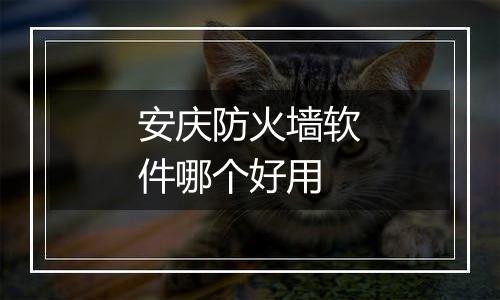 安庆防火墙软件哪个好用