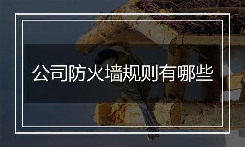 公司防火墙规则有哪些