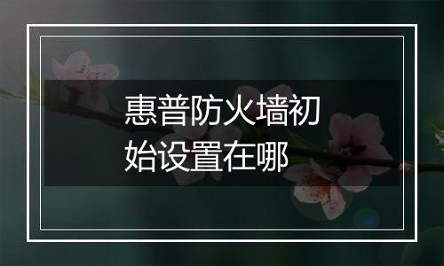 惠普防火墙初始设置在哪