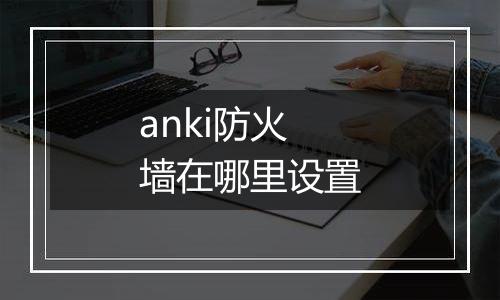 anki防火墙在哪里设置