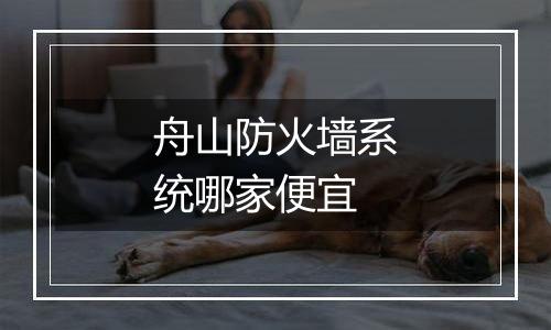 舟山防火墙系统哪家便宜