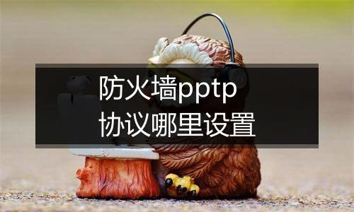 防火墙pptp协议哪里设置
