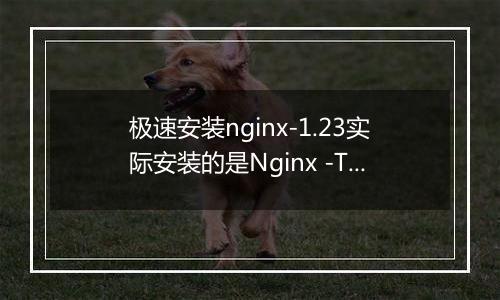 极速安装nginx-1.23实际安装的是Nginx -Tengine2.2.3