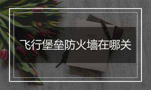 飞行堡垒防火墙在哪关