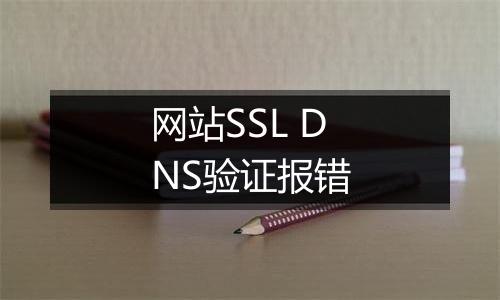 网站SSL DNS验证报错