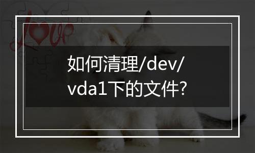 如何清理/dev/vda1下的文件?