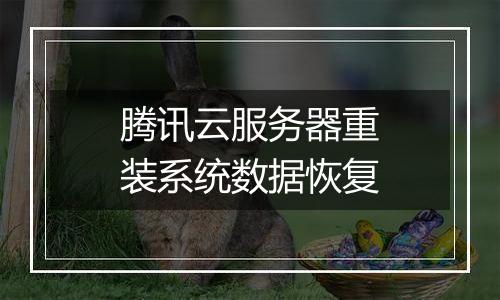 腾讯云服务器重装系统数据恢复