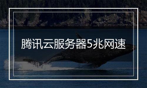 腾讯云服务器5兆网速