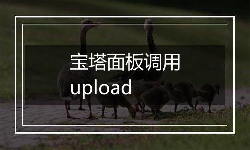 宝塔面板调用upload
