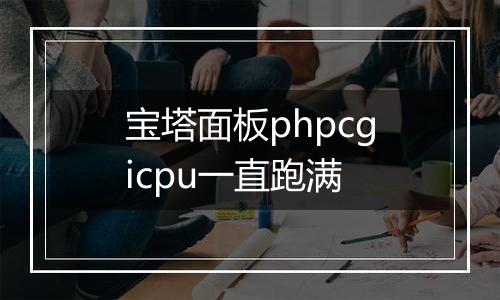 宝塔面板phpcgicpu一直跑满