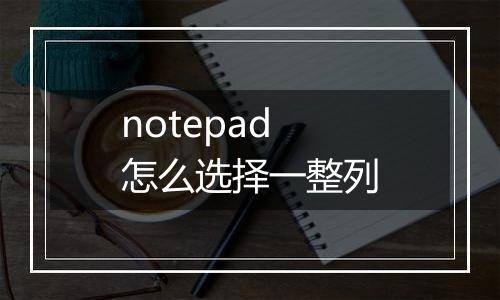 notepad怎么选择一整列