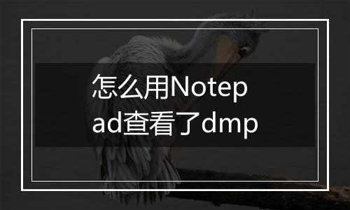怎么用Notepad查看了dmp