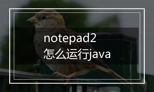 notepad2怎么运行java