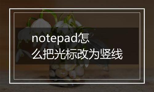 notepad怎么把光标改为竖线