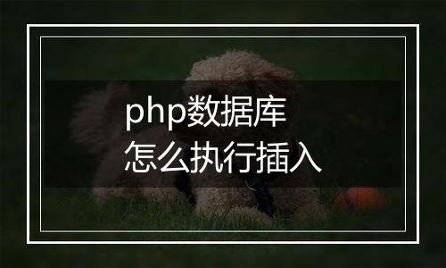 php数据库怎么执行插入