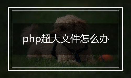 php超大文件怎么办