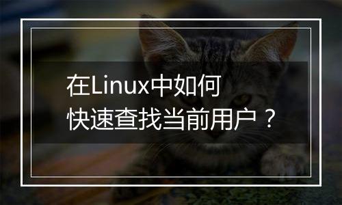 在Linux中如何快速查找当前用户?