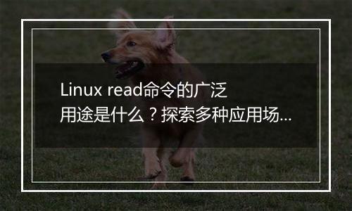 Linux read命令的广泛用途是什么？探索多种应用场景。