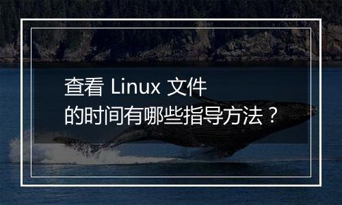 查看 Linux 文件的时间有哪些指导方法?