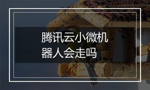 腾讯云小微机器人会走吗