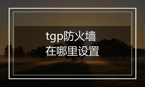 tgp防火墙在哪里设置