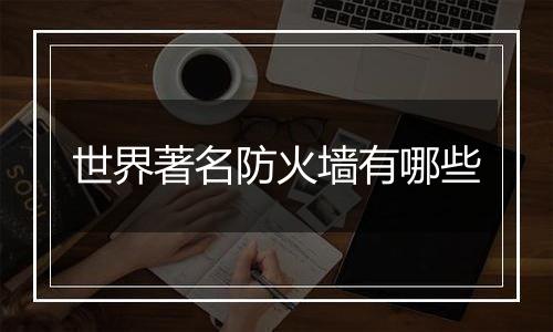 世界著名防火墙有哪些