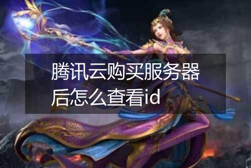 腾讯云购买服务器后怎么查看id