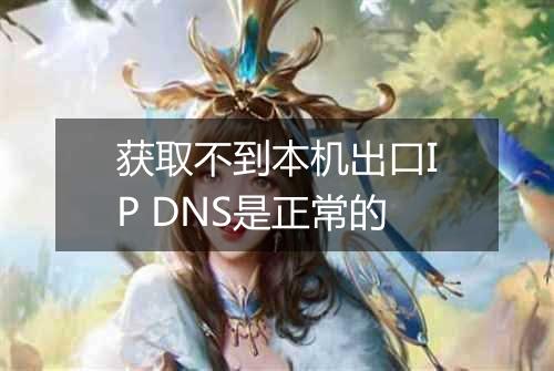 获取不到本机出口IP DNS是正常的
