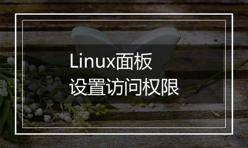 Linux面板设置访问权限