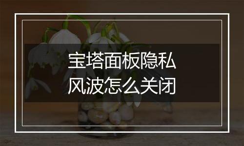 宝塔面板隐私风波怎么关闭