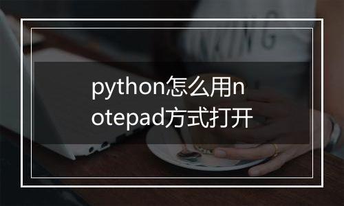 python怎么用notepad方式打开