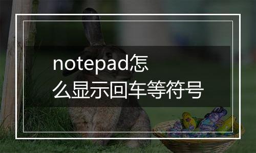 notepad怎么显示回车等符号