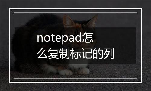 notepad怎么复制标记的列