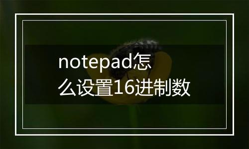 notepad怎么设置16进制数