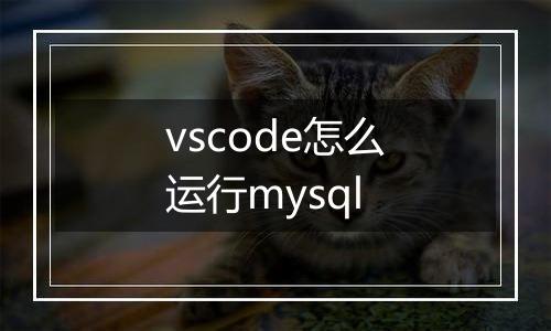 vscode怎么运行mysql