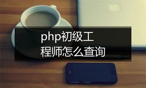 php初级工程师怎么查询