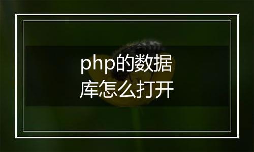 php的数据库怎么打开