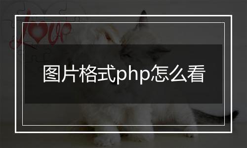 图片格式php怎么看