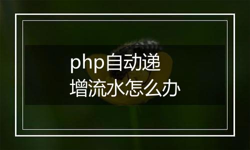php自动递增流水怎么办