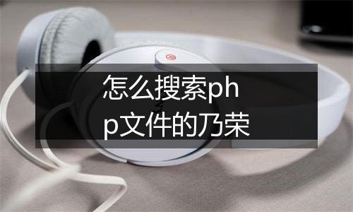 怎么搜索php文件的乃荣