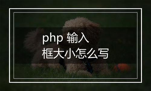 php 输入框大小怎么写