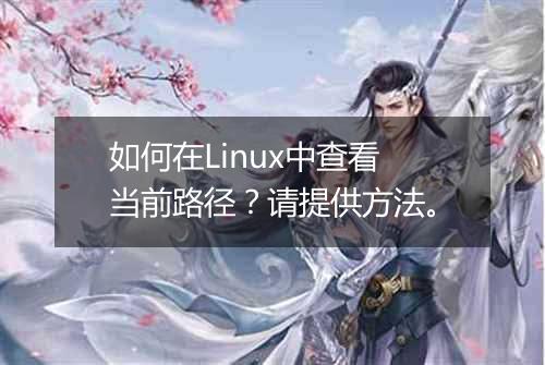 如何在Linux中查看当前路径?请提供方法。
