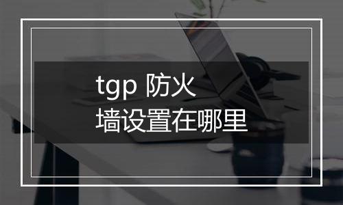 tgp 防火墙设置在哪里