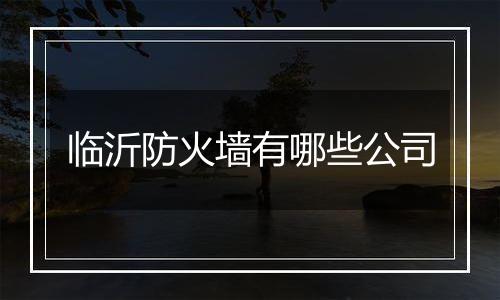临沂防火墙有哪些公司