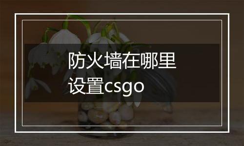 防火墙在哪里设置csgo
